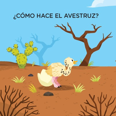 El desierto. Toca y escucha El desierto. Toca y escucha